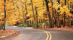 Maybe you would like to learn more about one of these? Wisconsin Fall Colors Snapshots