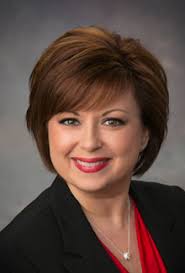 In their own words: Six seeking county council at-large seats