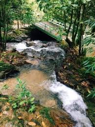 See 7 traveler reviews, 16 candid photos, and great deals for lembah temir resort, ranked #4 of 11 specialty lodging in raub and rated 4.5 of 5 at tripadvisor. Interesting Places In Malaysia Lembah Temir Resort Raub Pahang