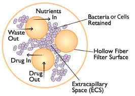 Bioreactors for animal cell culture slideshare. The Advantages Of Hollow Fiber Bioreactors In Cell Culture Fibercell Systems