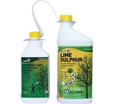 What's most frustrating is that many of the reasons can't be detected simply by walking up to the trees and inspecting them. Pin By Madeline Koenig On Gardening Spring Fruit Fungicide Organic Fungicide