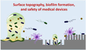 An animal cell encounters a new type of bacterium. How Microbes Read The Map Effects Of Implant Topography On Bacterial Adhesion And Biofilm Formation Sciencedirect
