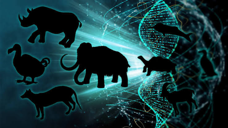 De-Extinction: Should We Bring Extinct Species Back From The Dead? |  IFLScience