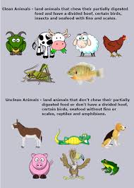 Clean And Unclean Animals Bible Curriculum Childrens Bible Bible Facts