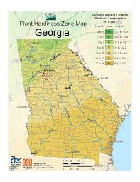 Today, visitors can see the original depot that witnessed the pursuit of the steam locomotive general of the famous great locomotive chase during the civil war. Georgia Trees Shrubs Naturehills Com