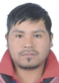 Ingresos de Otorongos Elecciones 2022