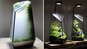 Check spelling or type a new query. Ces Terrariums Design Inspires De La Nature Cachent Des Mini Ecosystemes Mysterieux Youtube