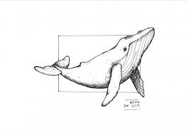 Push pack to pdf button and download pdf coloring book for free. Humpback Whale Print Poster By Netticreate Aka Nat Displate Whale Drawing Whale Sketch Whale Art