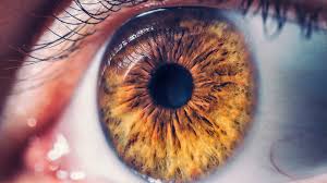 Macro image of human eye. Wallpaper Eyes Brown Macro Closeup 1920x1080