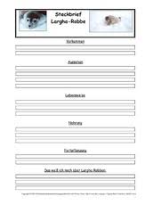 Auf diesem steckbrief sollen die schüler die wichtigsten daten zu ihrer person in englischer sprache notieren. Robben In Der Grundschule Steckbriefe Tiere Sachthemen Hus Klasse 3 Grundschulmaterial De