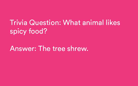 Keep up with the latest daily buzz with the buzzfee. 110 Funny Trivia Questions Answers Lol
