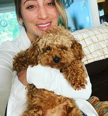 Deb Stravato (@gigiandcooperdotcom) • Instagram photos and videos