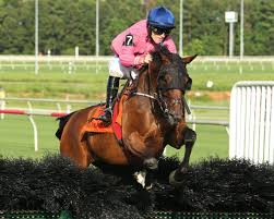 Steeplechase horse racing is believed to have originated in ireland in the 18th century. Busy Summer Steeplechase Schedules At Saratoga Colonial Downs Virginia Horse Racing