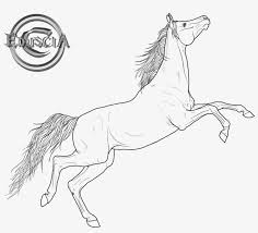Greatbigcanvas.com has been visited by 100k+ users in the past month Friesian Horse Arabian Horse Line Art Png Image Transparent Png Free Download On Seekpng