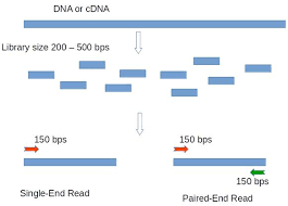 Illumina Sequencing Illumina Sequencing By Synthesis 1010genome