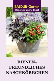 Ob winterharte stauden, alles für blühende blumenbeete, immergrüne. Baldur Garten Versand