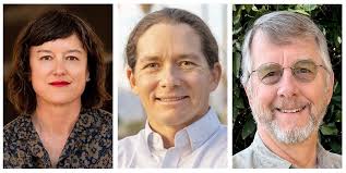 Three Democrats vying for Tucson's Ward 6 seat face off in primary