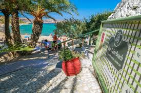 Check spelling or type a new query. Vai Palm Beach Finikodasos In Lassithi Allincrete Travel Guide For Crete