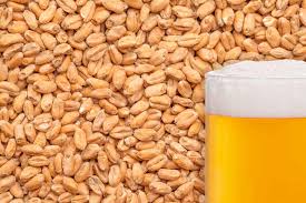 Also, kristall is among its healthiest beers. Malts From Other Cereals Bestmalz German Brewing Malt For The Best Beer