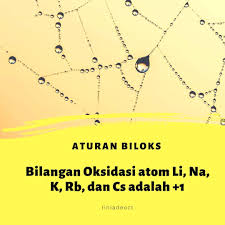 Jelaskan 3 Konsep Pengertian Reaksi Redoks Brainly Co Id