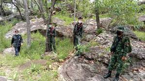 คืบหน้า 7 คนไทยเก็บเห็ดถูกจับที่ สปป.ลาว วิรัจ วิชัยบุญ รอง. Vlplp Hn Koigm