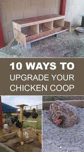 10 Ways To Upgrade Your Chicken Coop Huhner Im Garten Huhner Und Huhner Wassertranke