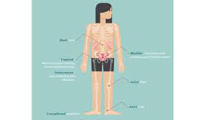 More steps to help prevent cervical cancer. 6 Signs And Symptoms Of Cervical Cancer In Women Medanta