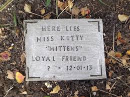 Solid stone cat memorial stone delivered in 2 days for only $37.99 broad bay personalized solid stone cat memorial plaque personalized & made here in virginia beach, va 12in x. Diy Pet Tombstone Memorial Stone 5 Steps With Pictures Instructables