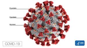 The cabin will be rehabbed and turned into affordable. Coronavirus Updates Three Covid 19 Cases In Minors Coronavirus Fredericknewspost Com
