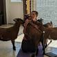 Goat Yoga event image
