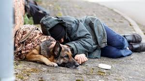 Sep 29, 2017 · call the police department of the town or city you believe your loved one could be in. What Are The Best Ways Of Helping Homeless People Bbc News