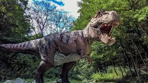 3840x2160 T Rex Dino In The Dino Park Bratislava 3840x2160 Wallpaper Teahub Io Free hd wallpaper, images & pictures of tyrannosaurus rex dinosaurs, download photos of animals for your desktop. 3840x2160 t rex dino in the dino park