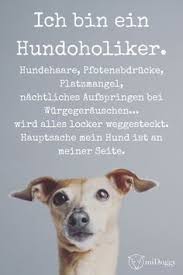 Tiere können das wort liebe zwar nicht schreiben, aber umso besser können sie es zeigen. 35 Coole Hunde Spruche Hunde Zitate Ideen Hund Zitat Hundespruche Hunde