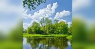 Johnnie Daniel Powell Jr. Obituary