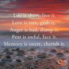 Life Is Short Live It Love Is Rare Grab It Anger Is Bad Dump It Fear Is Awful Face It Memory Inspiring Quotes About Life Meaningful Quotes Words Quotes
