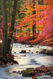 Please Don T Pollute Or Not Recycle It Will Kill Places Like Me Before You Know It Beautiful Nature Beautiful Landscapes Scenery