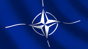 4.3 out of 5 stars. Flag Nato Seamless Loop Stock Footage Video 100 Royalty Free 26372045 Shutterstock