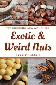 Brazil nuts are high in selenium, which is a trace mineral vital for proper body function. 23 Exotic And Weird Nuts That You Need To See To Believe Food For Net