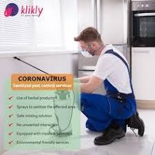 Looking for pest control services in durham region to help you reclaim the comfort, good health and safety of your home or place of business? 16 Pest Control Ideas Pest Control Pests Pest Control Services