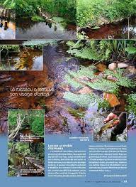 Documentaire de anthony martin 2006. Telecharger Comme Un Poisson Dans L Eau Patrick Lamaison