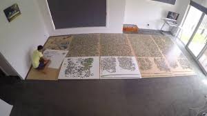 We did not find results for: Man Spends Nine Months Doing An Incredible 33 600 Piece Jigsaw Puzzle