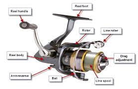 Tackle Guide Best Spinning Reel For 2019 Bc Fishing Journal
