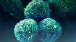 Spitalul universitar de urgen bucureti clinica medicin f. 35 Dintre RespondenÈ›ii La Un Test Online PrezintÄƒ Factori Ce Pot Indica Riscul De A