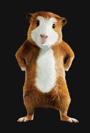 Pin Von Katherine Smith Auf Twist Meerschweinchen