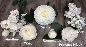 We did not find results for: Truly White Flowers For Your Wedding J Morris Flowers