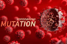 The number of rsv cases dropped dramatically last year, with people staying home and social distancing, but it began cropping up as pandemic restrictions eased. Waspada Warian Baru Virus Corona B 1 17 B 1 617 B 1 351 Masuk Indonesia Rs Khusus Bedah Halimun Medical Center