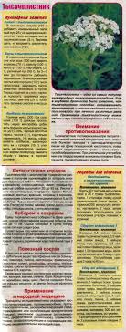 диета при гастрите с повышенной кислотностью меню на каждый день Pin Na Doshci Zdorov Ya