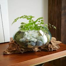 Creer Un Terrarium Plante 20 Idees Pour Reussir L Art Vegetal En Miniature Verre Bois Aquarium En Verre Verre Recycle