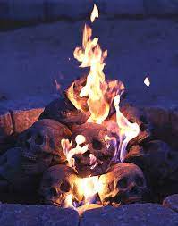 We did not find results for: Fire Pit Skull Logs