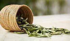 In our state west we use to drink kulekhara juice at morning time. Buy Kulerron Syrup 200 Ml Online Sastasundar Com